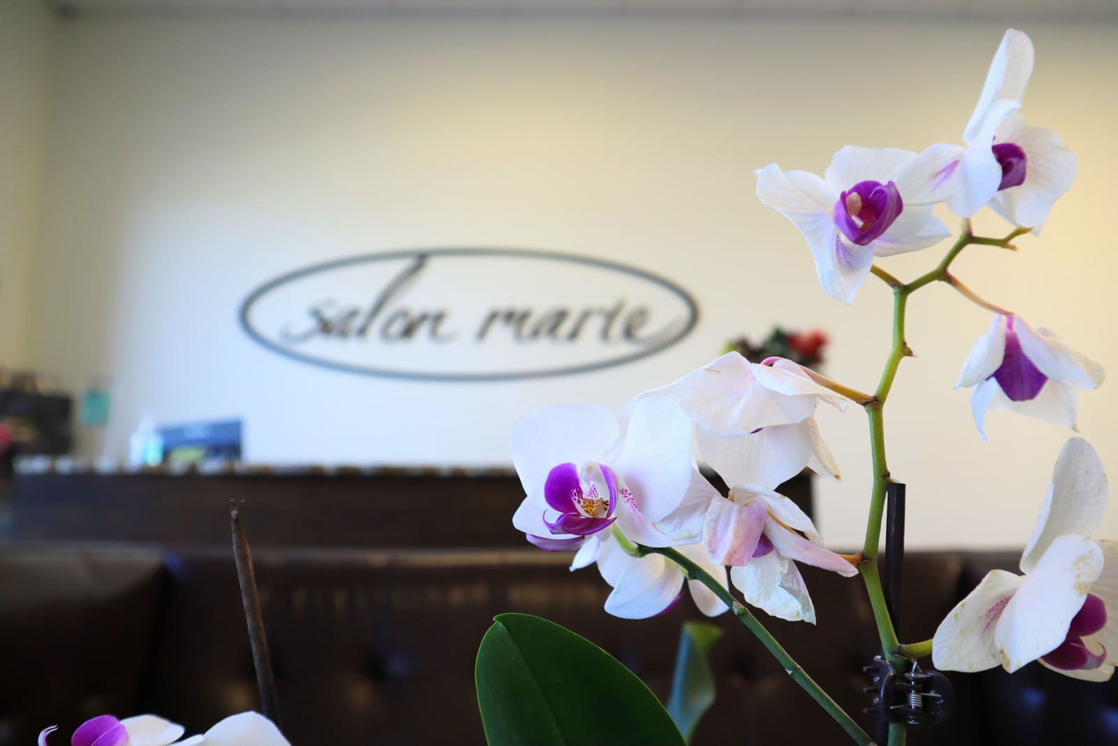 White orchids in bloom at the Salon Marie front desk, with the salon marie script decal on the wall behind